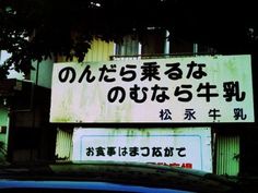 「怖くなって逃げた」飲酒運転で衝突事故、2人を死傷させた疑い 20歳の女を逮捕