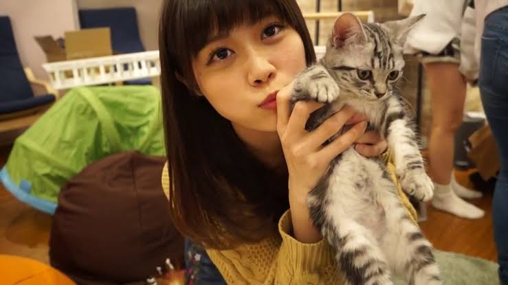 警視庁・捜査一課長好きな人