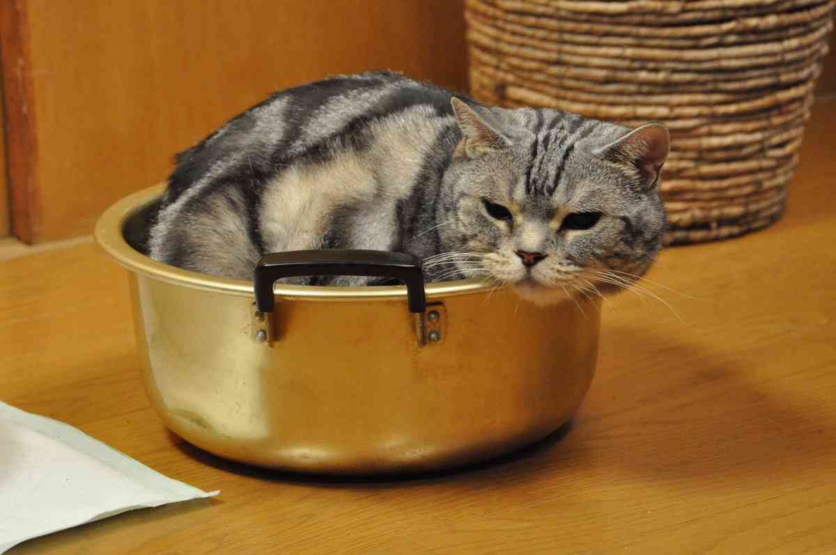 警視庁・捜査一課長好きな人