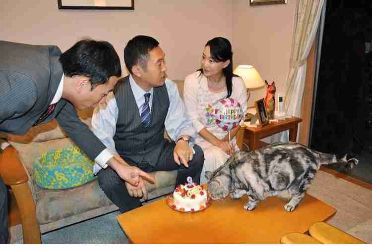 警視庁・捜査一課長好きな人