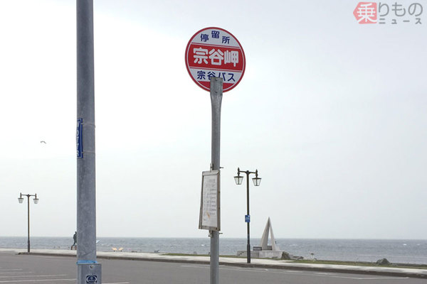 顔だけ丸い人の情報交換