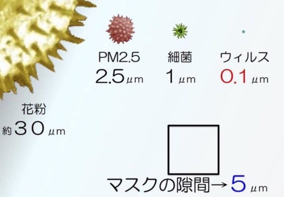 新型コロナ、軽症患者でも脳に障害を受ける可能性? 研究論文が発表される