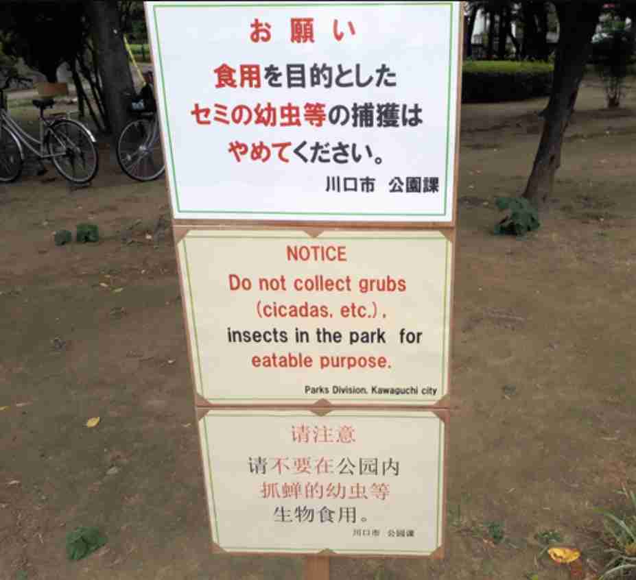 埼玉県内 新たに62人の感染確認 これまでで最多に 新型コロナ