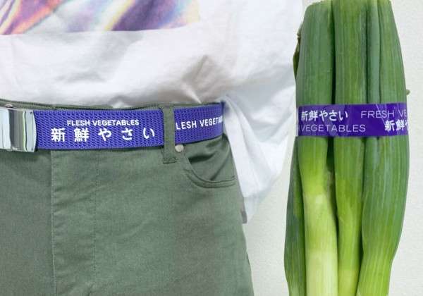 好きな画像やGIFを貼るが、コメントは全部『ヨシ!!』のトピ