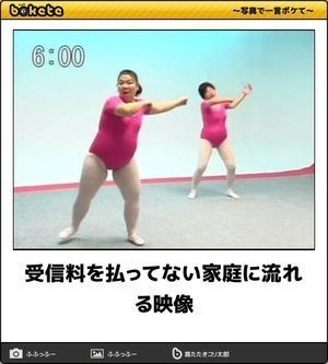 好きな画像やGIFを貼るが、コメントは全部『ヨシ!!』のトピ