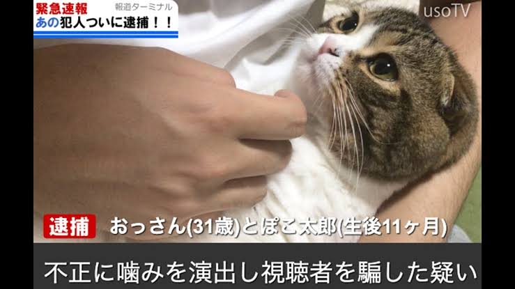 子供が自分と歳の近い彼氏を連れてきたらどうしますか?