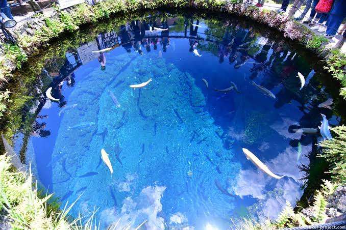 日本のキレイな、海、川、湖、滝が見たい