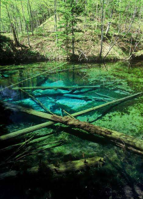 日本のキレイな、海、川、湖、滝が見たい