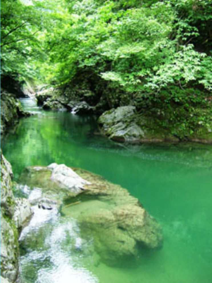 日本のキレイな、海、川、湖、滝が見たい