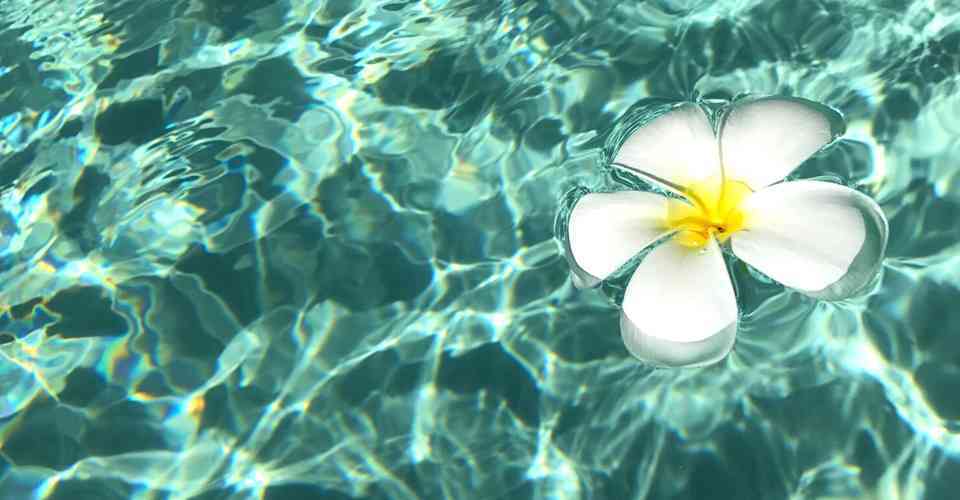 スマホ用の綺麗な待受が欲しい ガールズちゃんねる Girls Channel