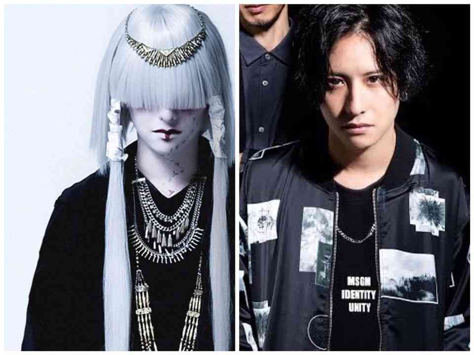 好きな歌声のアーティストだったらプラス