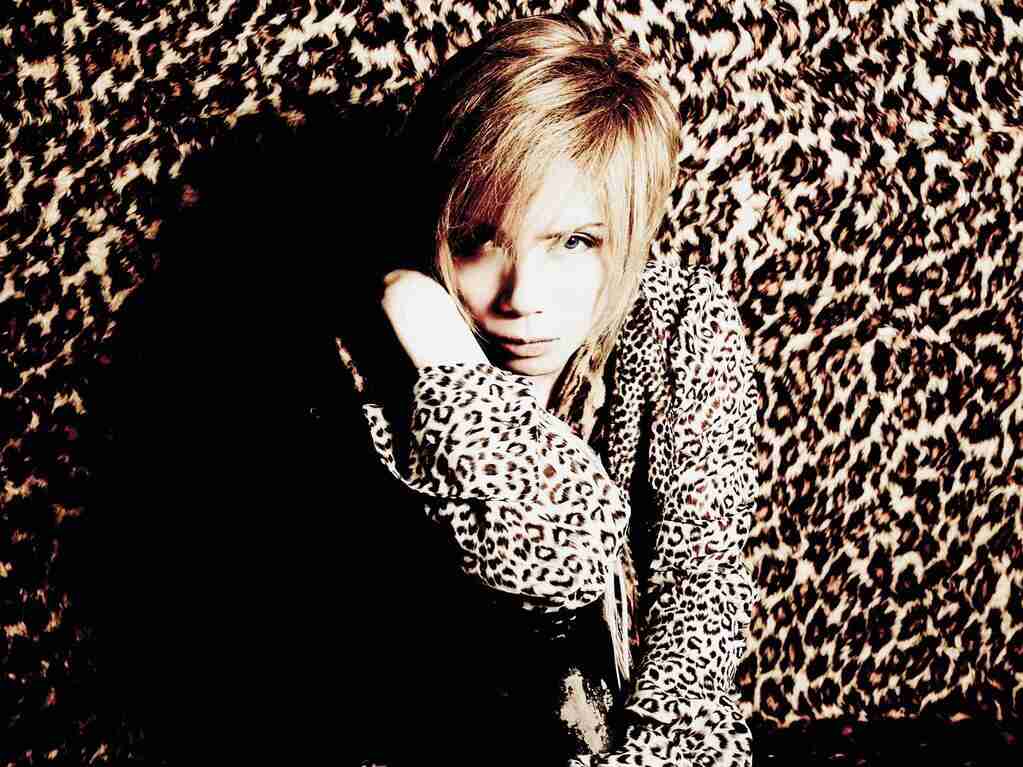 好きな歌声のアーティストだったらプラス
