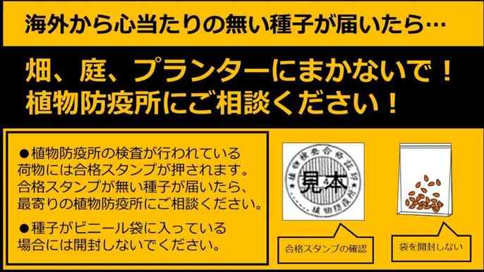 接触確認“アベノアプリ”は登録6% ドブに捨てた血税1億円