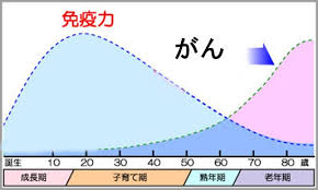 抗体なくてもT細胞が新型コロナウイルス退治? 免疫システムで新研究