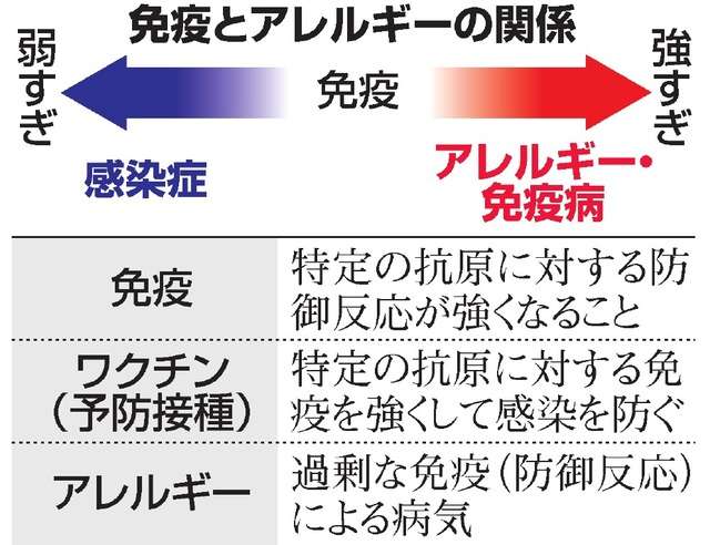 抗体なくてもT細胞が新型コロナウイルス退治? 免疫システムで新研究