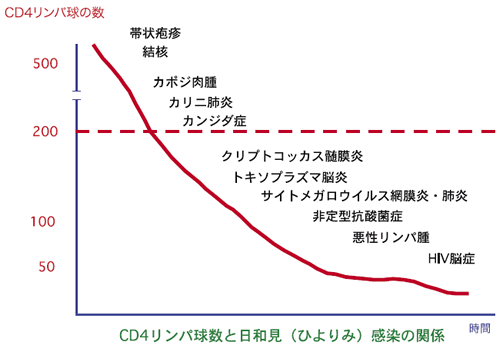 抗体なくてもT細胞が新型コロナウイルス退治? 免疫システムで新研究