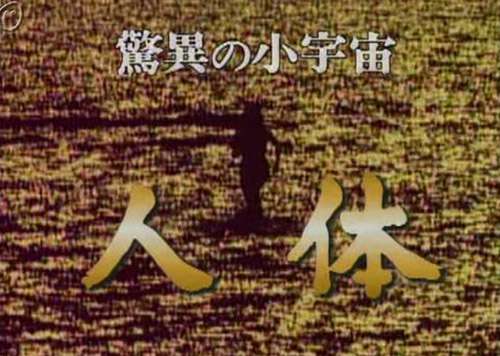 抗体なくてもT細胞が新型コロナウイルス退治? 免疫システムで新研究