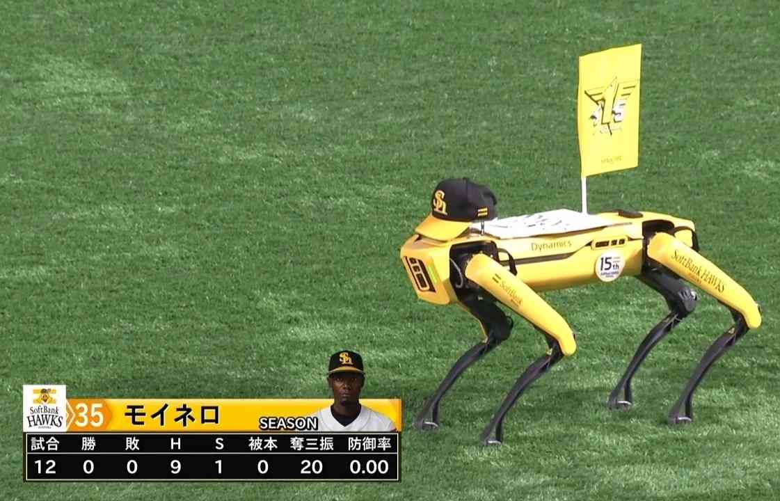 あつまれ福岡ソフトバンクホークスファン