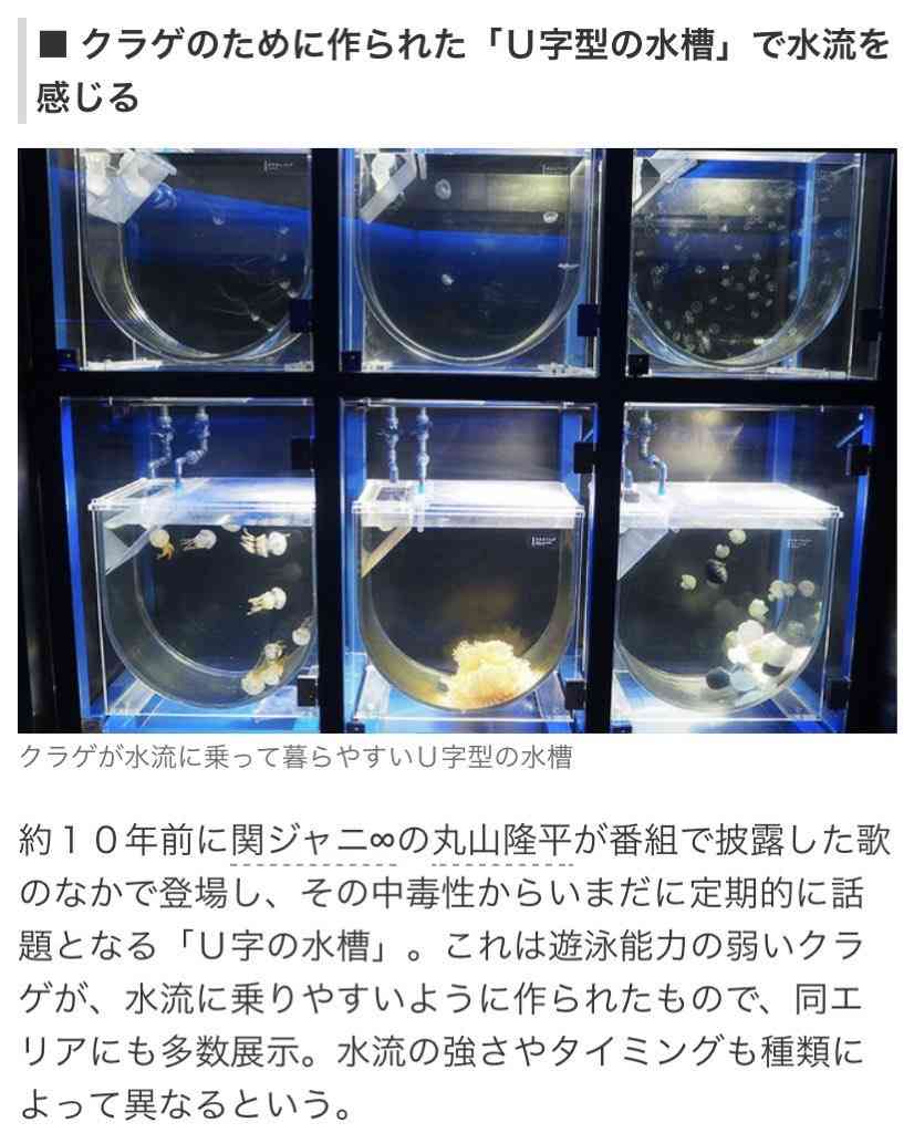 関ジャニ∞・大倉忠義、平熱より高い体温でANN特番を欠席 “古巣”に戻れず「非常に残念です」