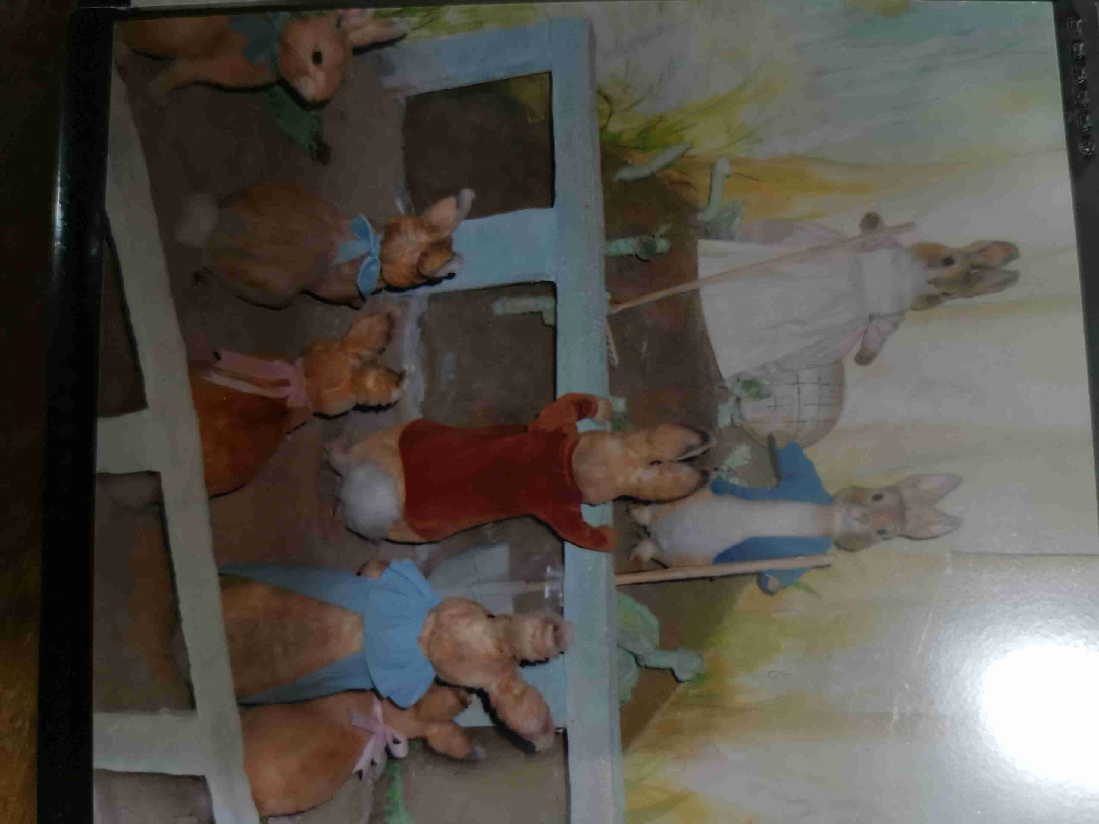 イギリスのドラマや映画や文学が好きな人