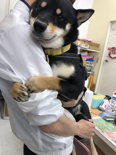 【スギちゃん雑談】コロナと水分補給に気を付けながら夏を迎えるぜぇ~🌻【part50!】