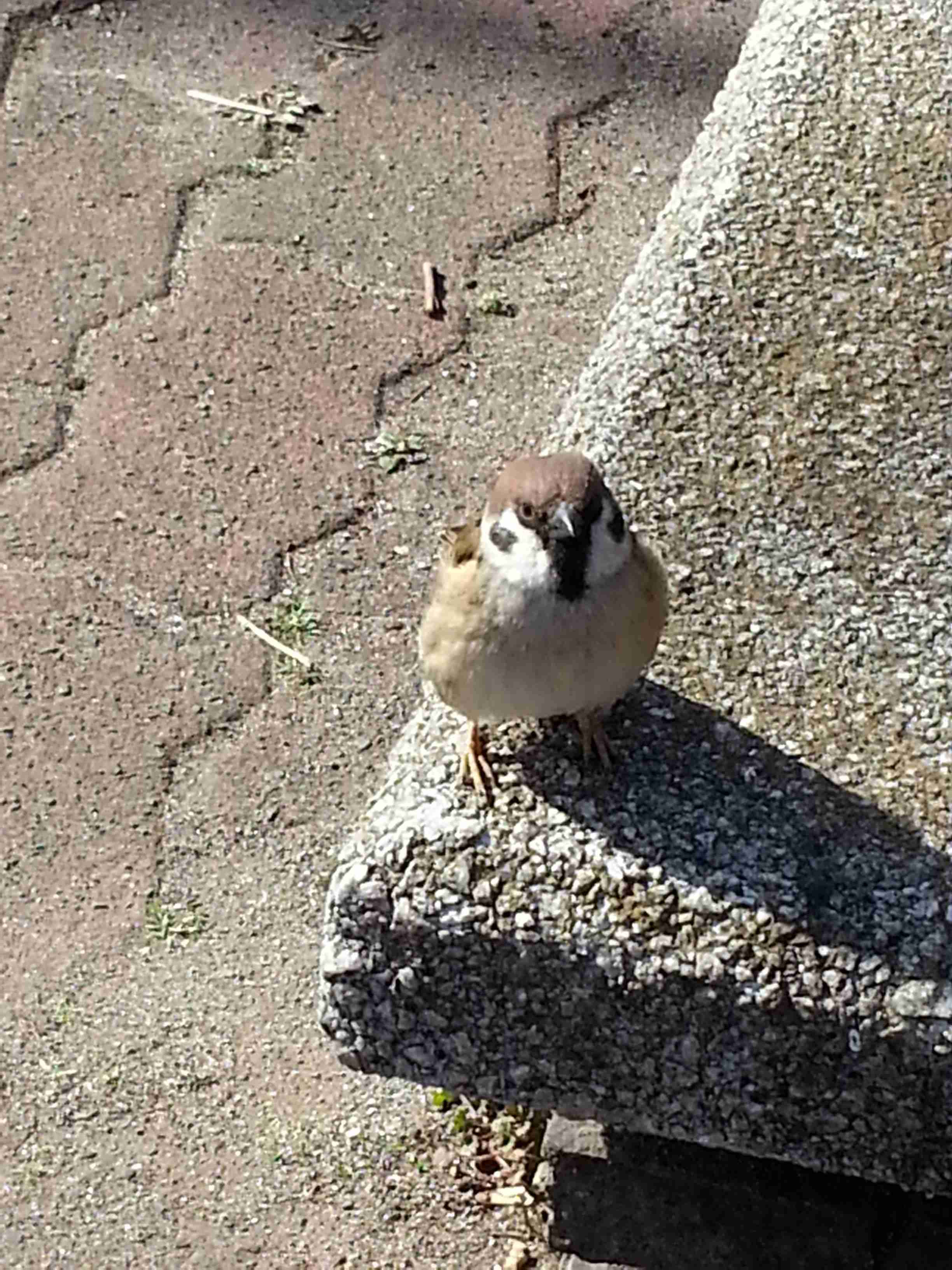 宗教勧誘の断り方 ガールズちゃんねる Girls Channel