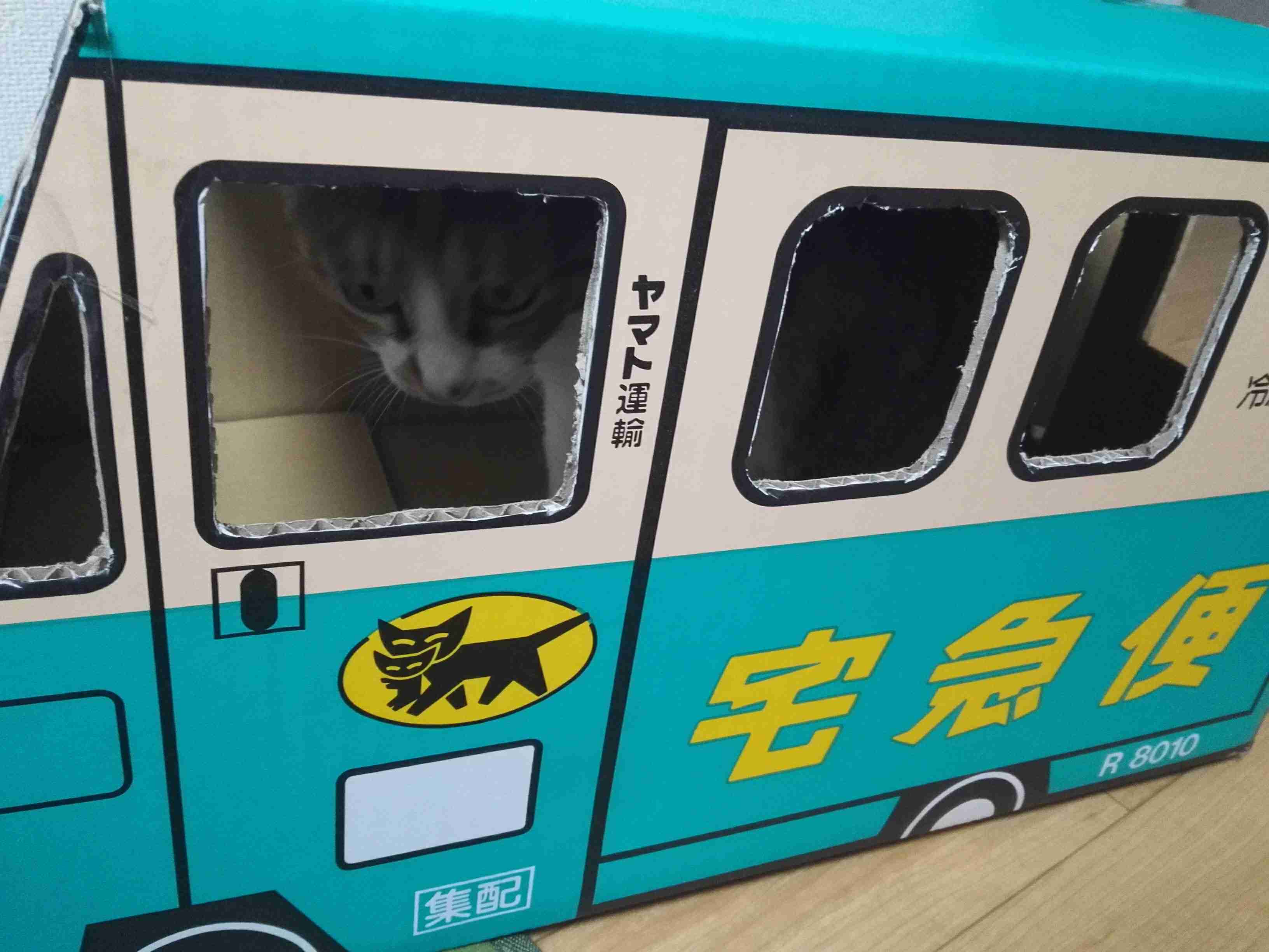 【ペット】みんなのおすすめ【グッズ】