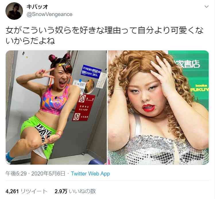 フワちゃん、なぜ大ブレイクしたか　「2つの肩書き」が強み