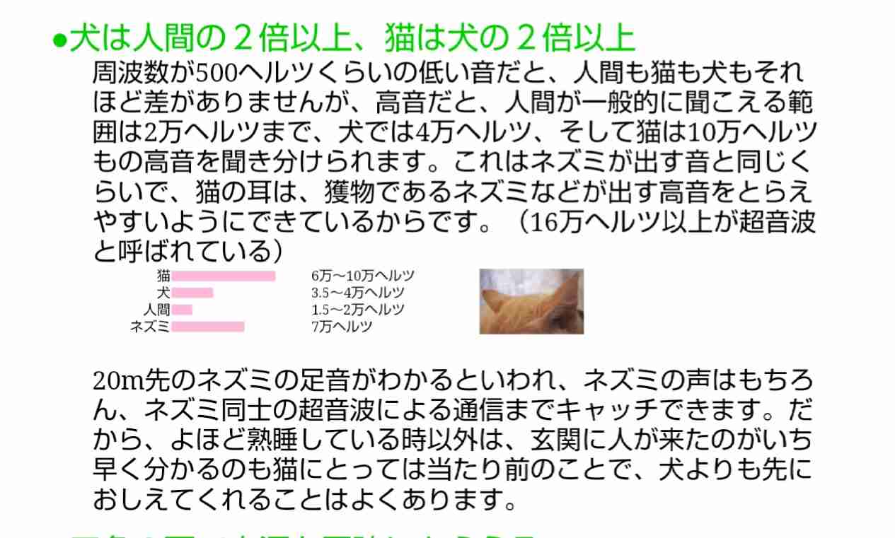 【ペット】人間に見えないものが見えてると思いますか?