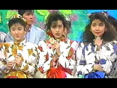 おニャン子クラブの歌が好きな人