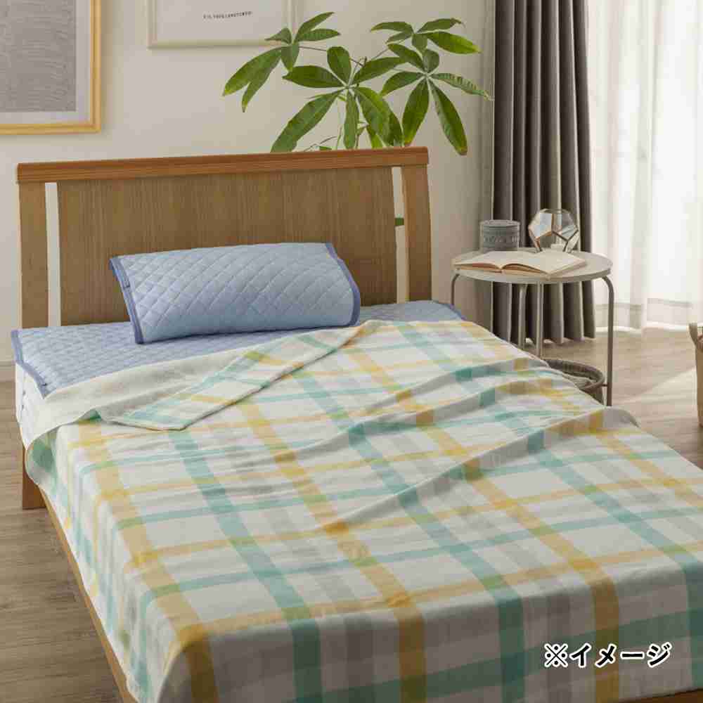 〘夏〙タオルケットについて語ろう