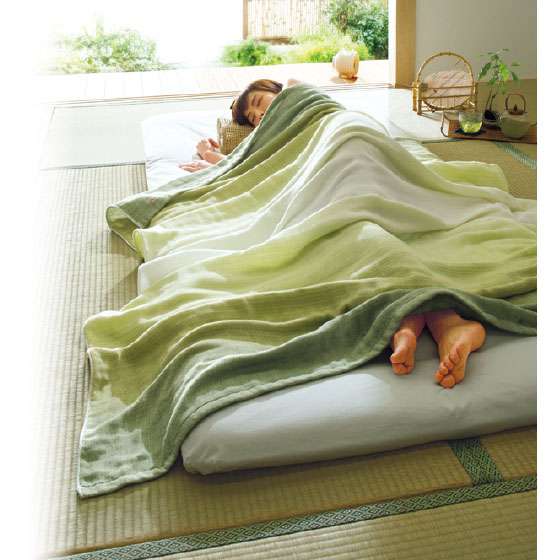 〘夏〙タオルケットについて語ろう