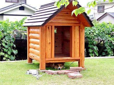 戸建て賃貸に住んでいるor 住んでいた方