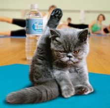 ベッドで出来るエクササイズ