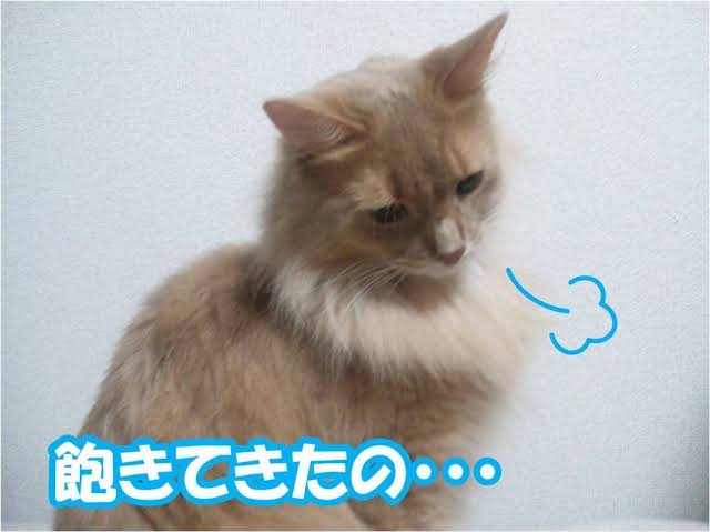 この人、ないわ〜と思ったこと