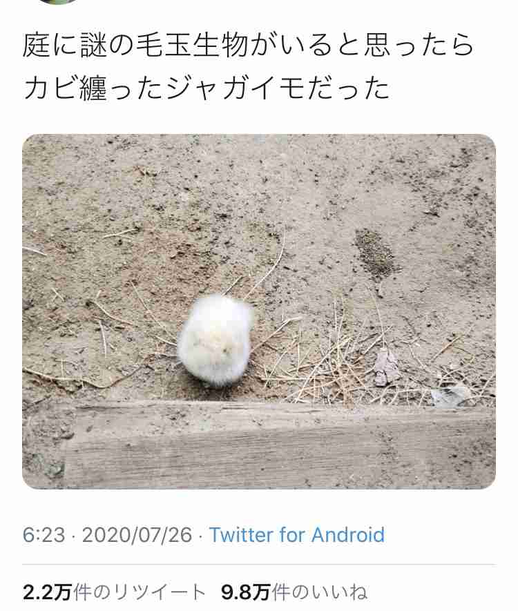 Twitterでバズった人気の投稿 Part3 ガールズちゃんねる Girls Channel