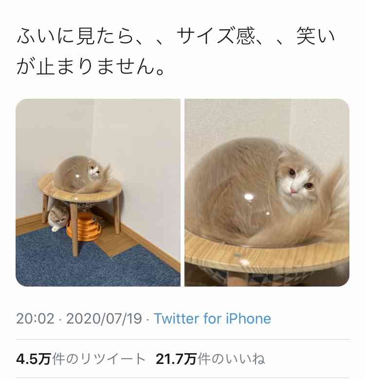 Twitterでバズった人気の投稿 Part3 ガールズちゃんねる Girls Channel