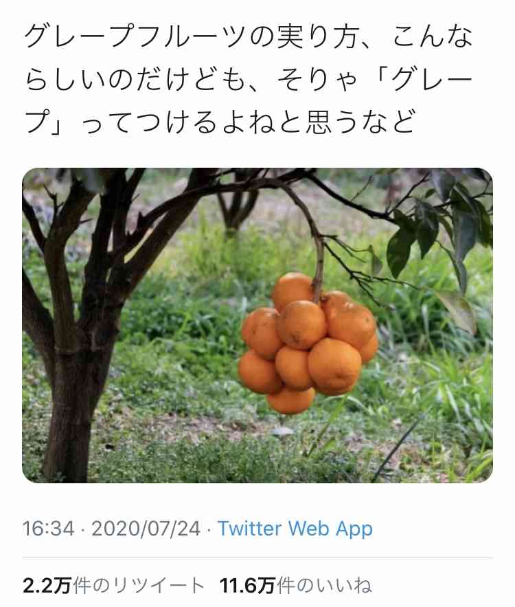 Twitterでバズった人気の投稿 Part3 ガールズちゃんねる Girls Channel