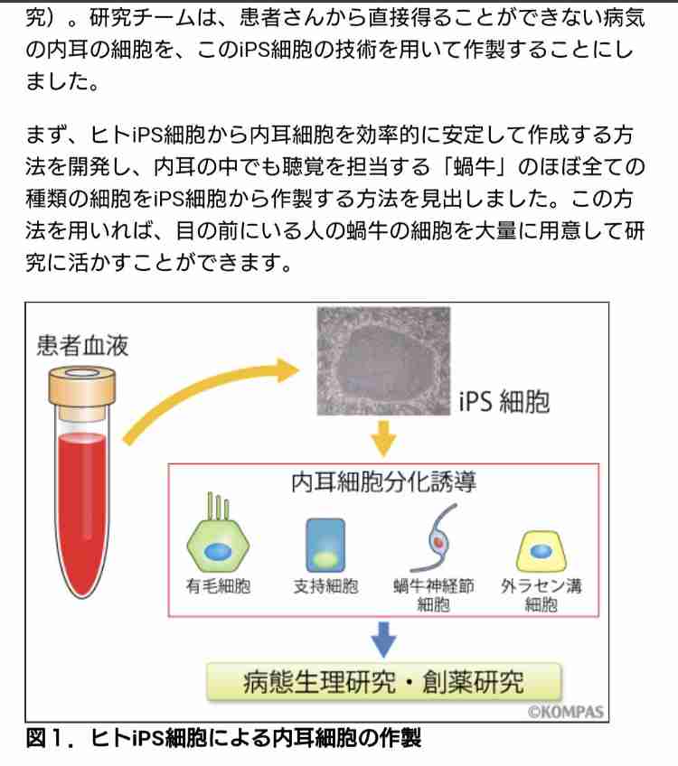 【ファン限定】いろんな堂本剛さんが見たい part2