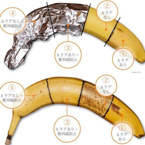 化粧水を使わない人