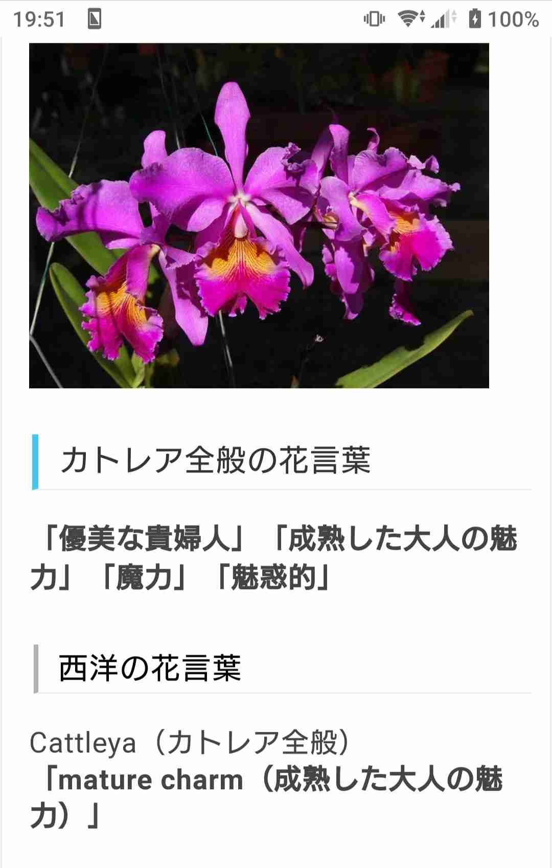 誕生花❁*·⑅マニアック