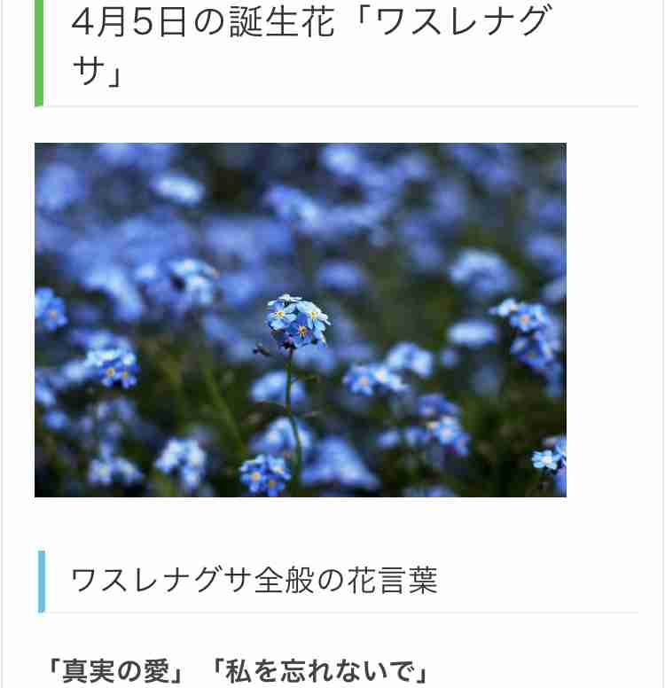 誕生花❁*·⑅マニアック