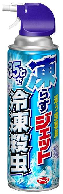 羽アリ大量発生！