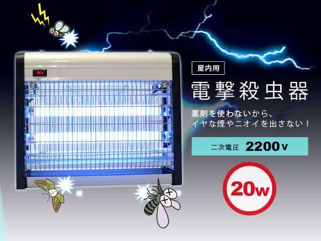羽アリ大量発生！