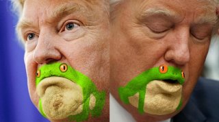 必要なら「マスク着ける」　トランプ米大統領軟化「見た目もいい」