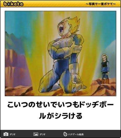 いろんなベジータが見たいPart3