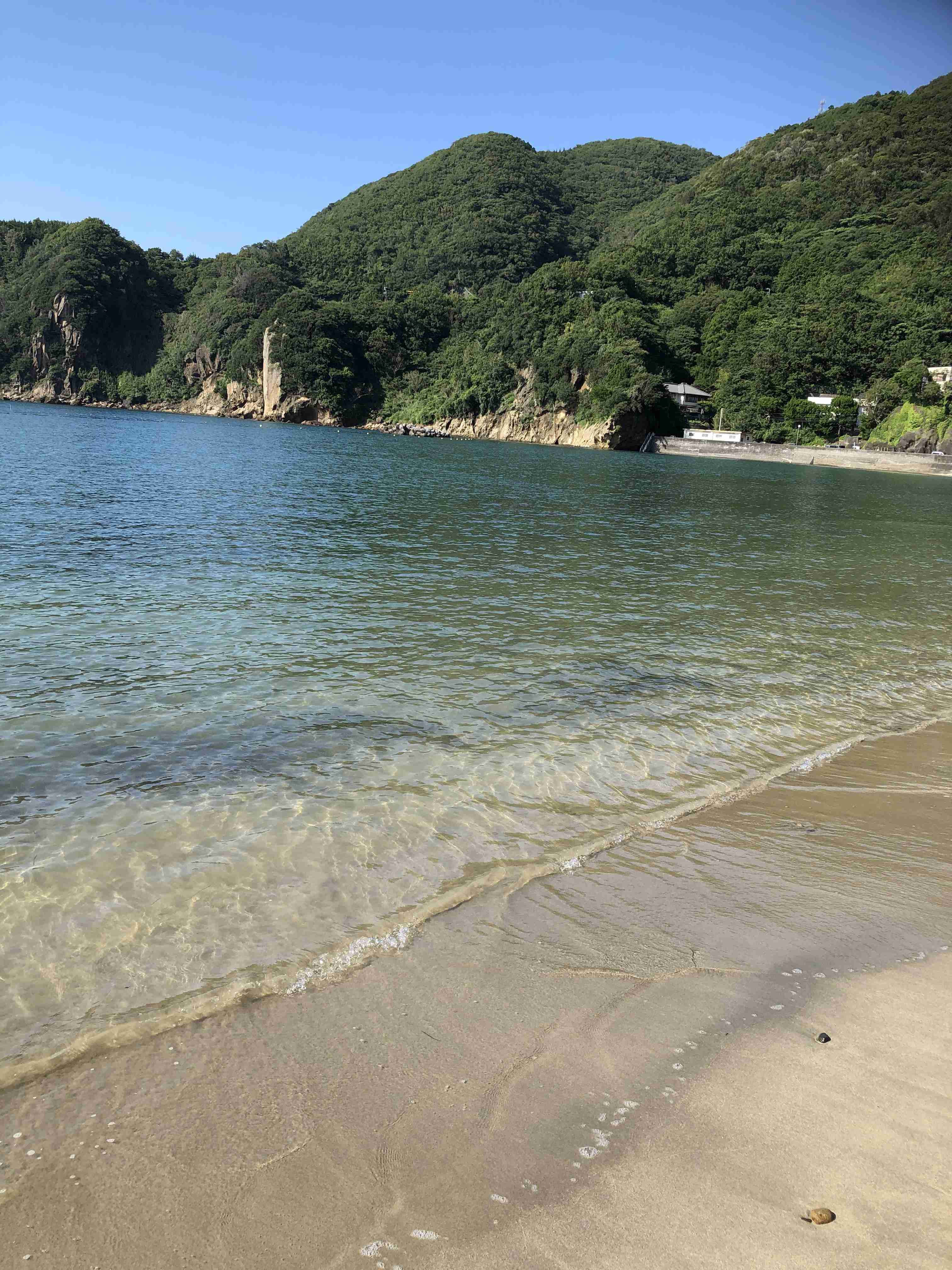 【コロナ後】静岡県に観光に行きたい！