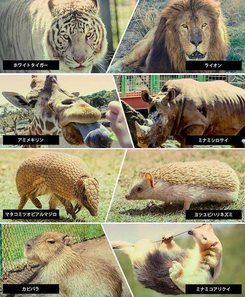 【コロナ後】静岡県に観光に行きたい！