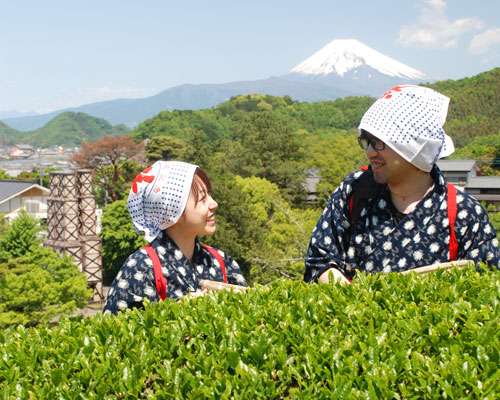 【コロナ後】静岡県に観光に行きたい！