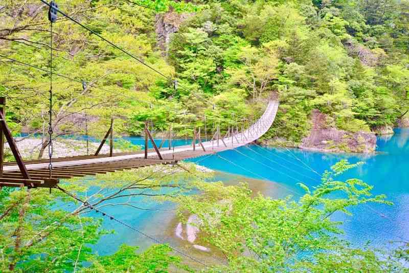 【コロナ後】静岡県に観光に行きたい！